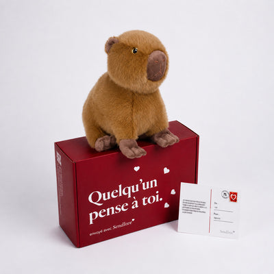 Pacha le Capybara 🦫