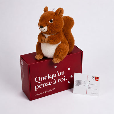 Sacha l’Écureuil 🐿️