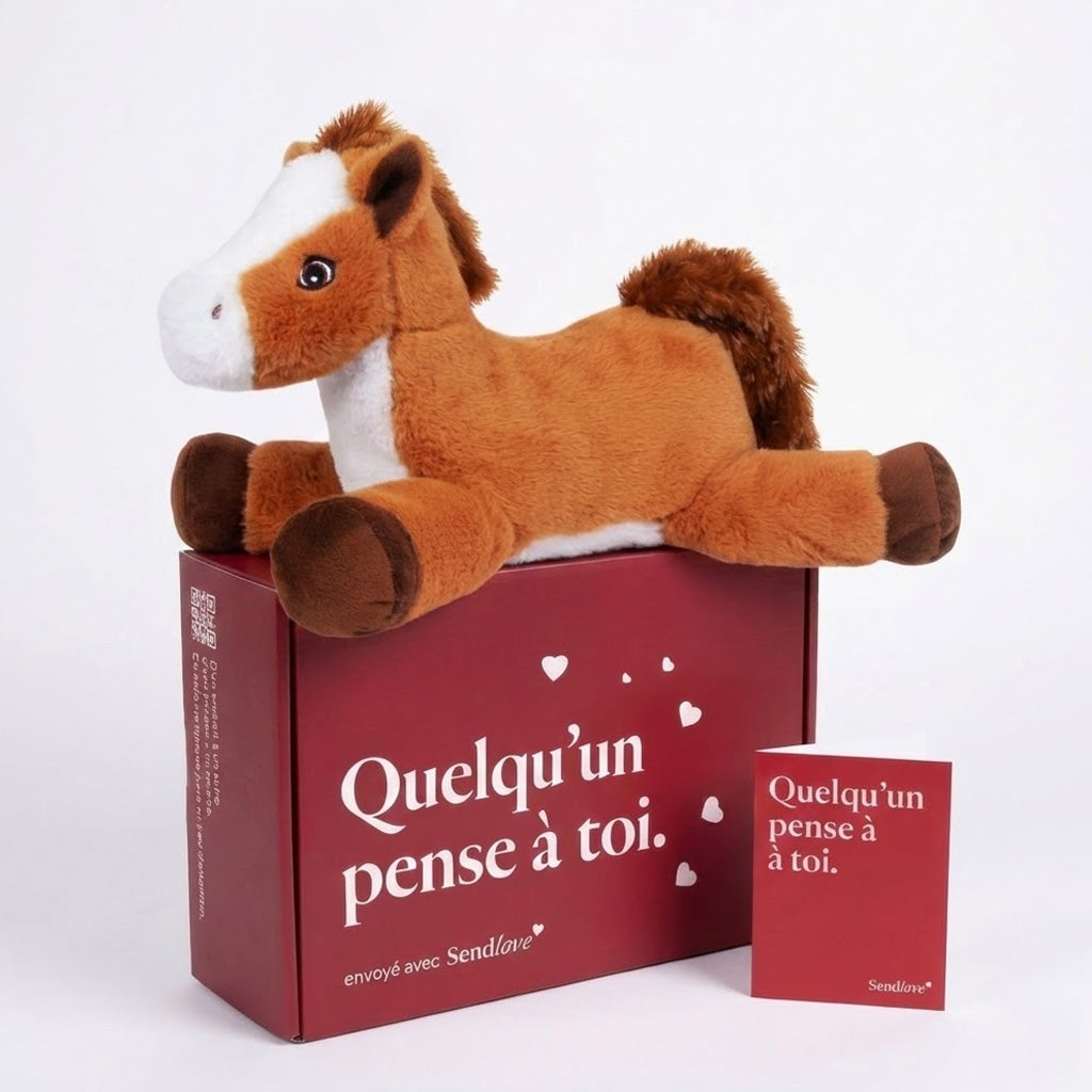 Calypso le Cheval 🐴