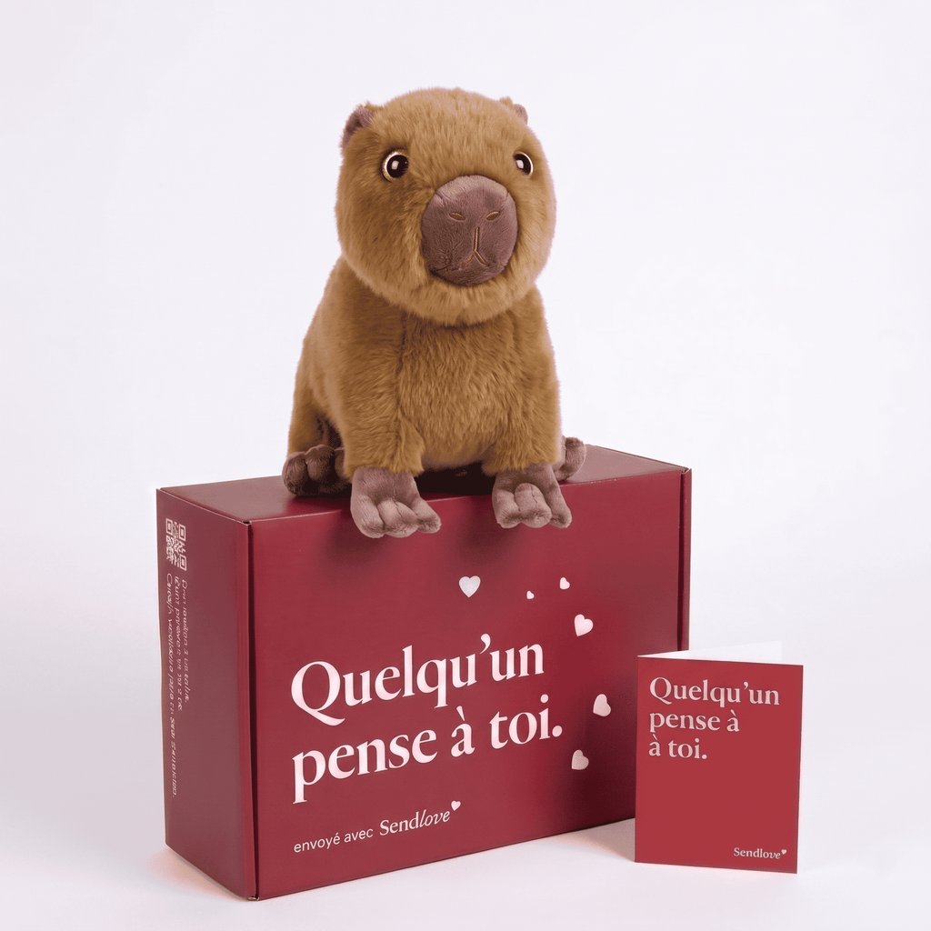 Pacha le Capybara 🦫
