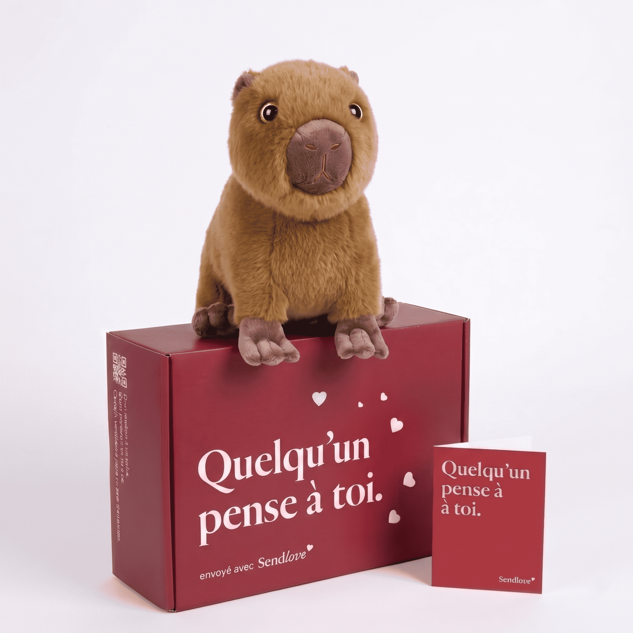 Pacha le Capybara 🦫