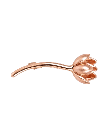 Charm Rose Éternelle
