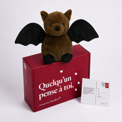 Chiro la Chauve-Souris 🦇
