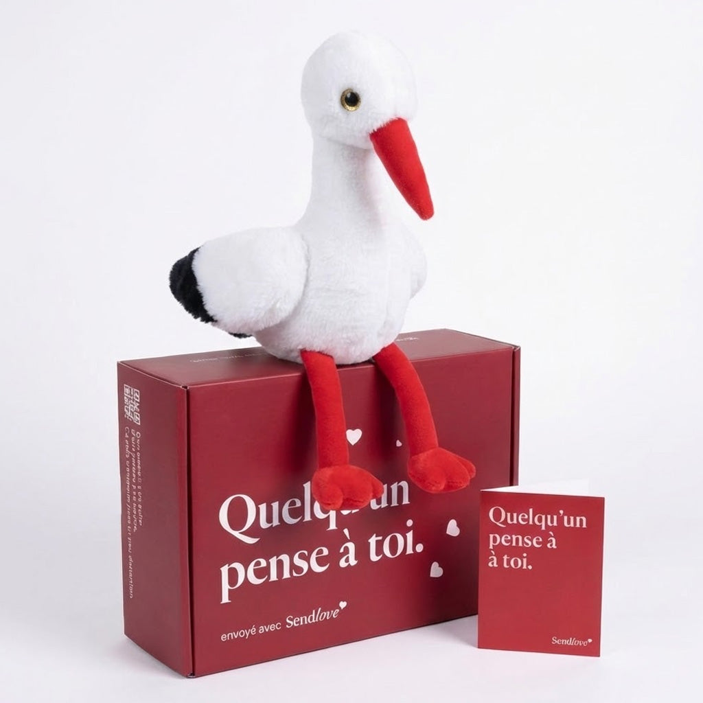 Cia la Cigogne 🕊️