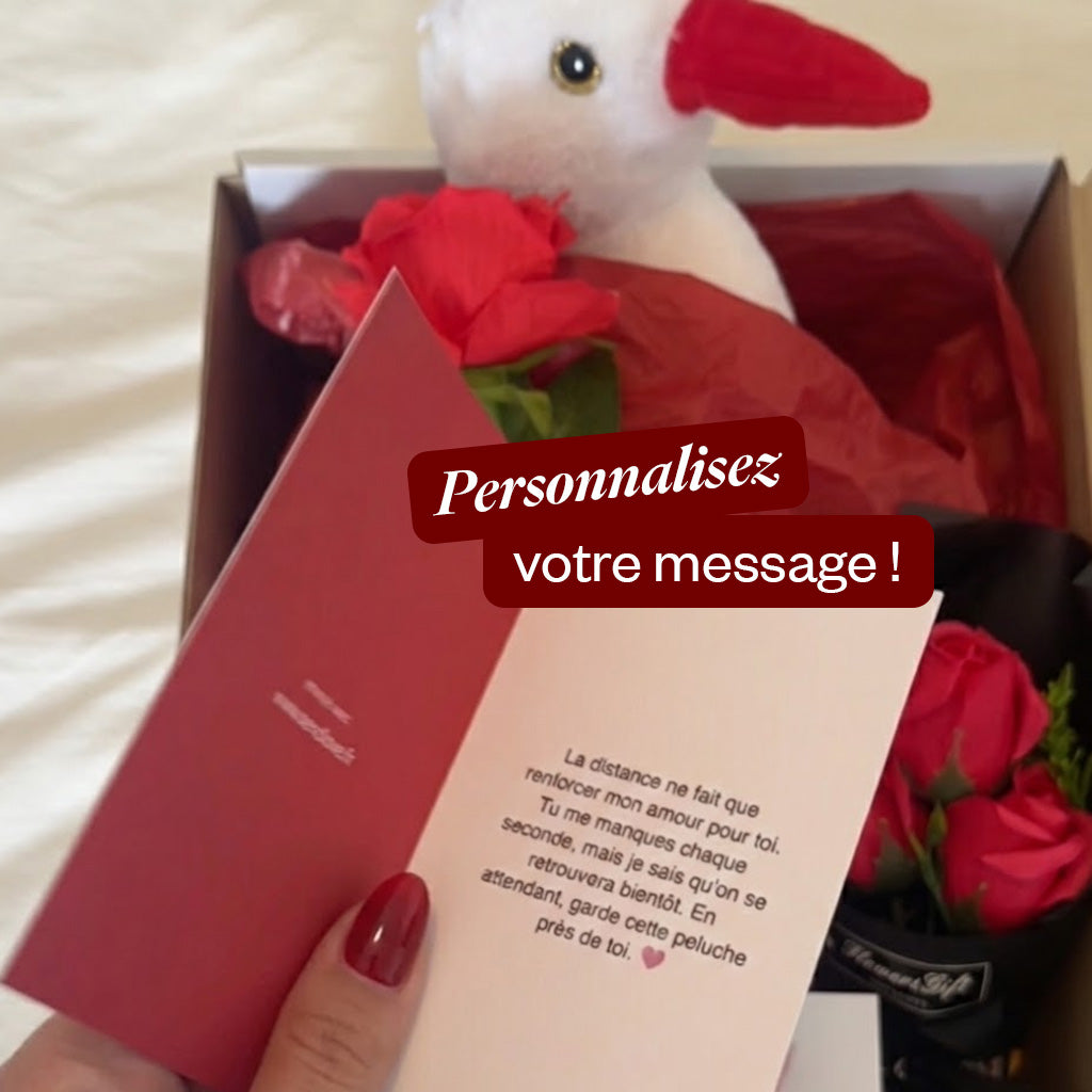 Cia la Cigogne 🕊️