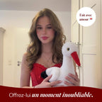 Cia la Cigogne 🕊️