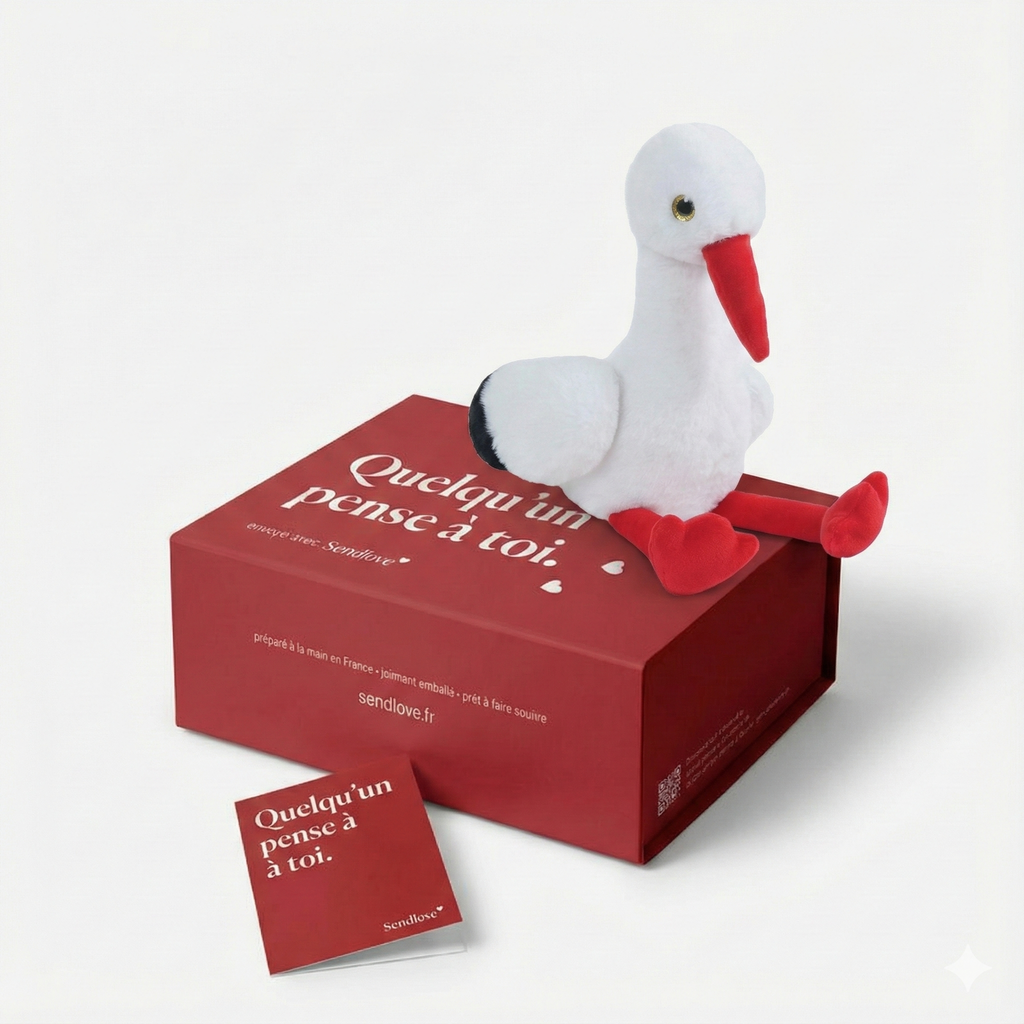 Cia la Cigogne 🕊️