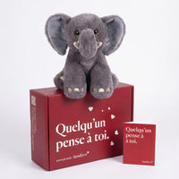 Elio l’Élephant 🐘