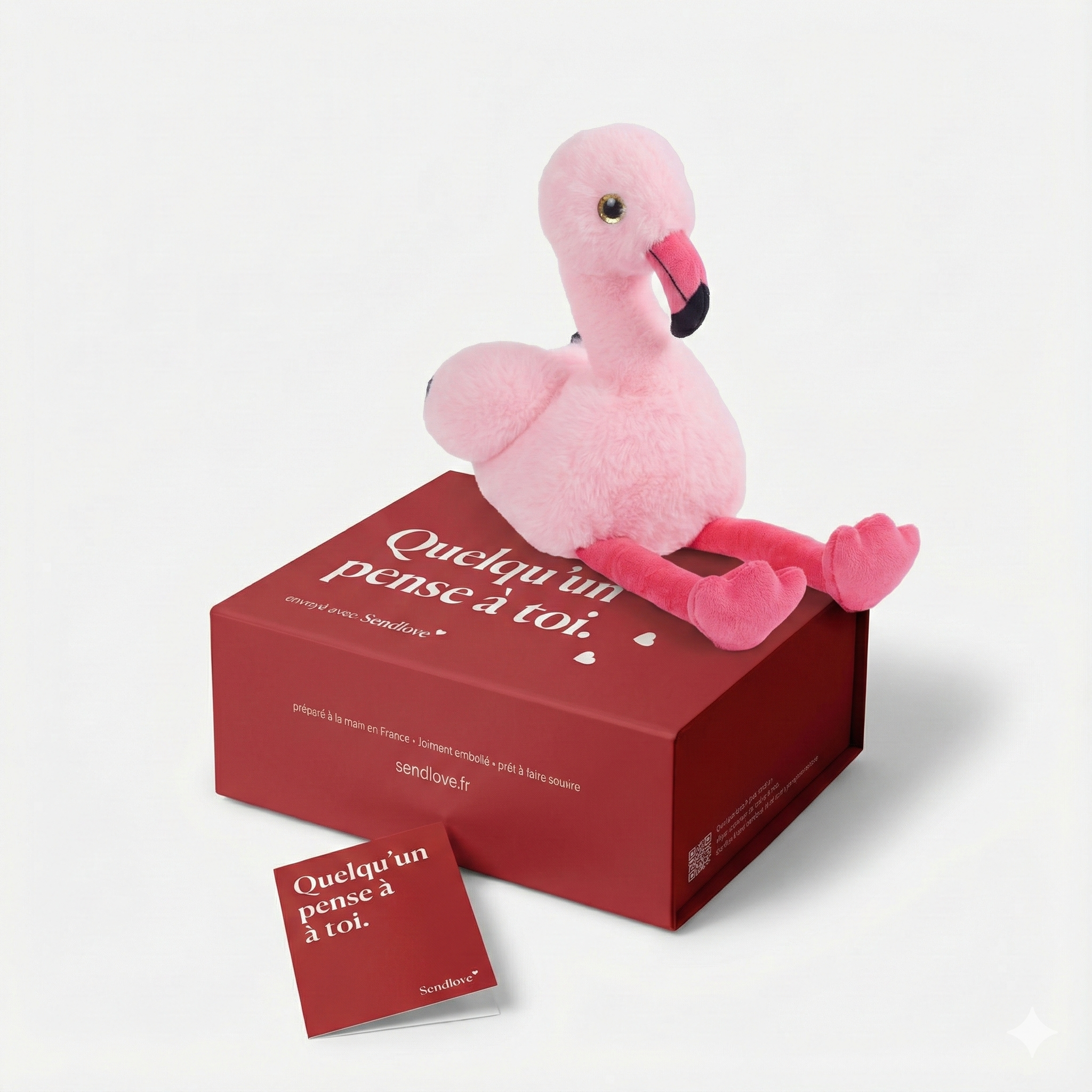 Fynn le Flamant 🦩