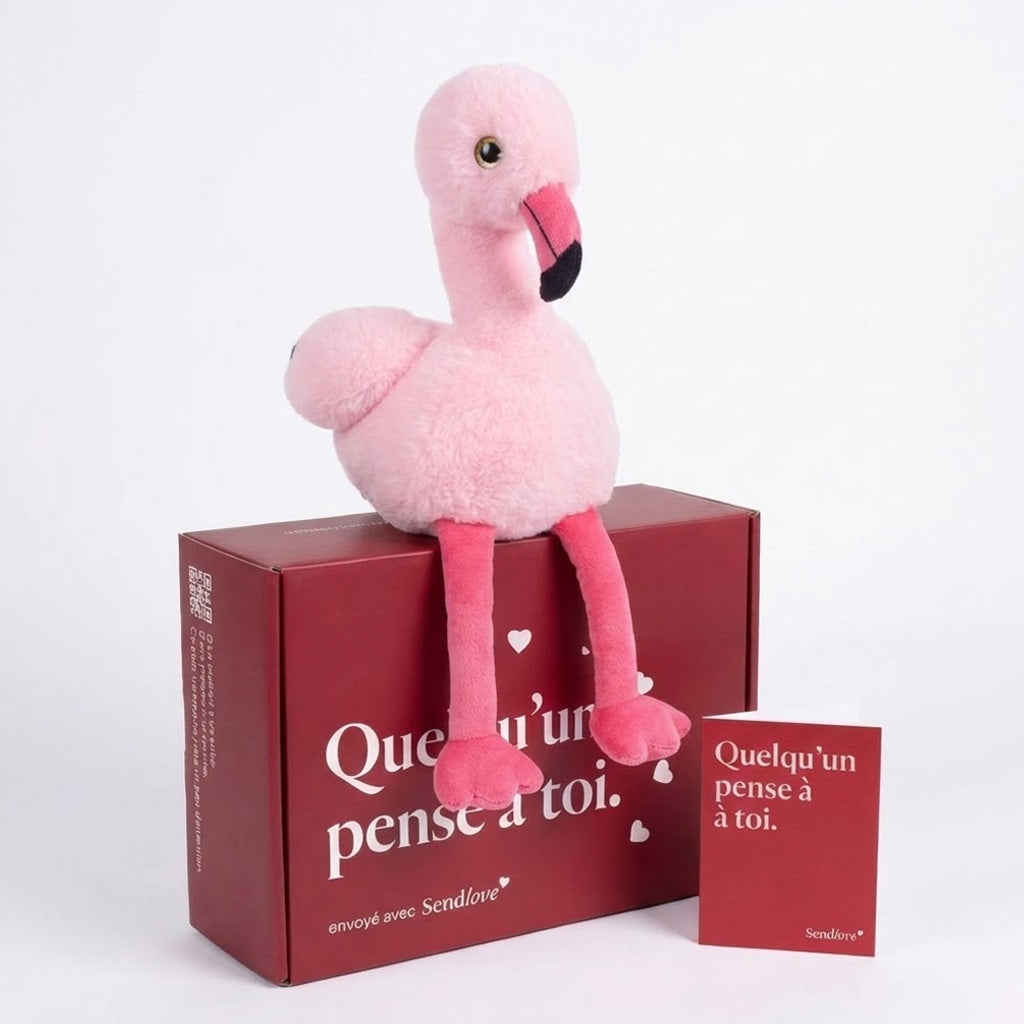 Fynn le Flamant 🦩