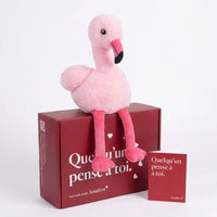 Fynn le Flamant 🦩