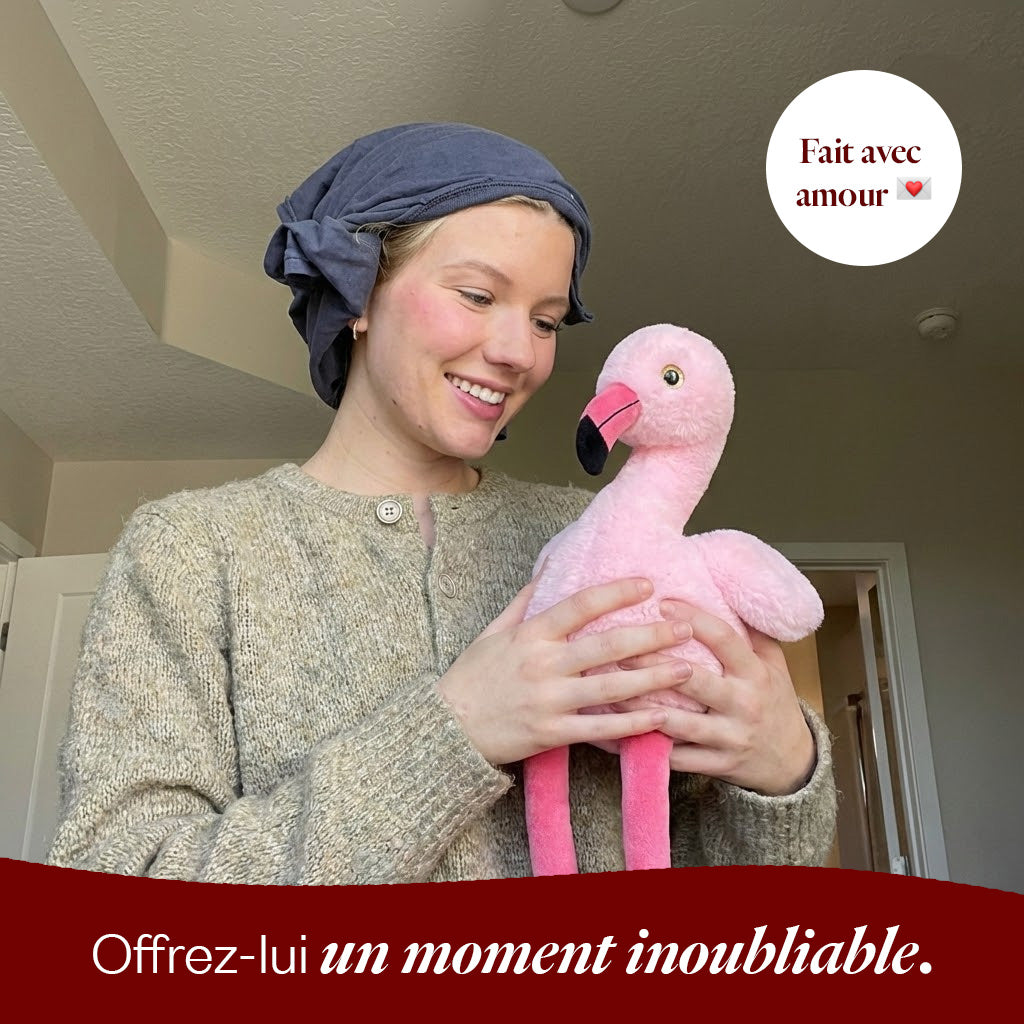 Fynn le Flamant 🦩