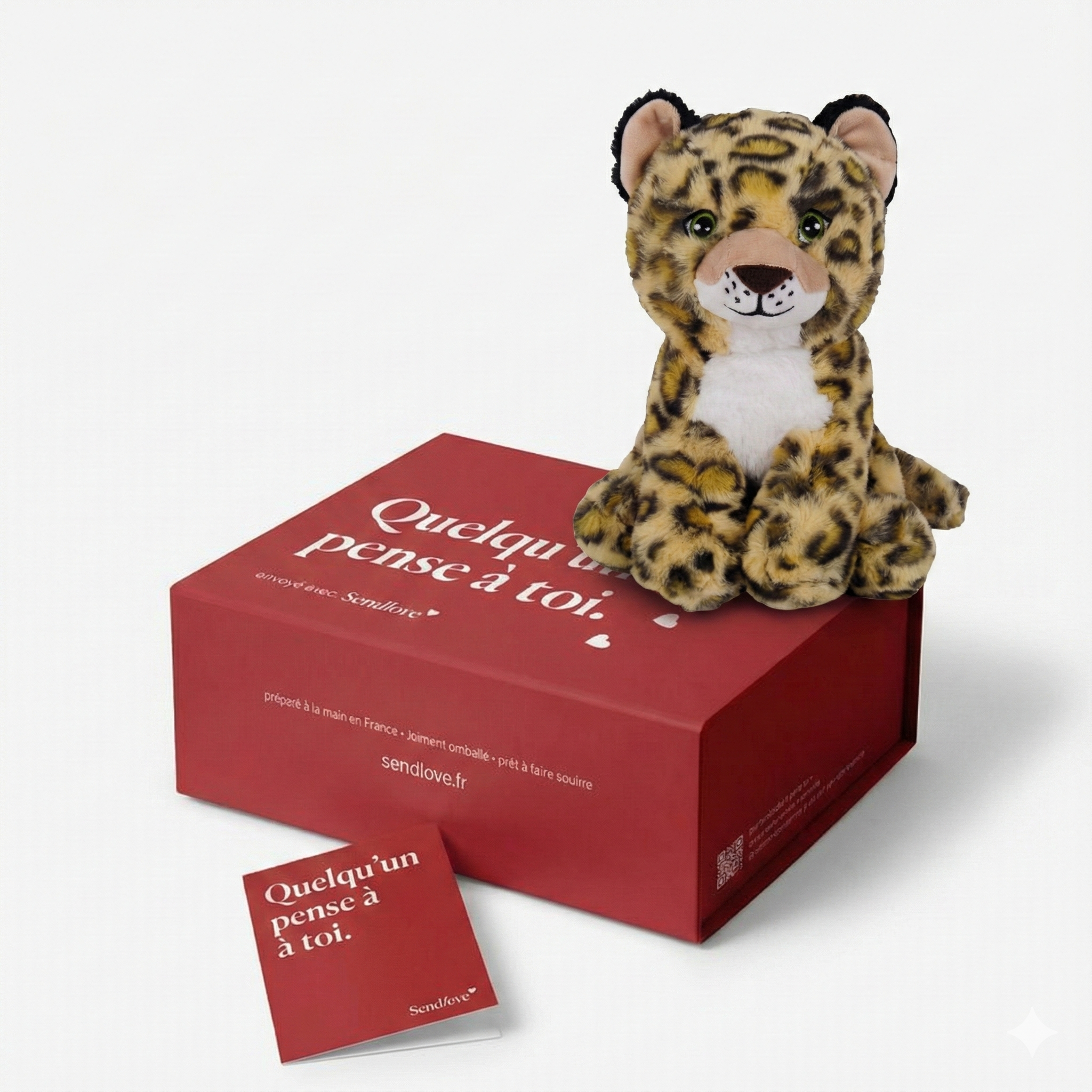 Leny le Léopard 🐆