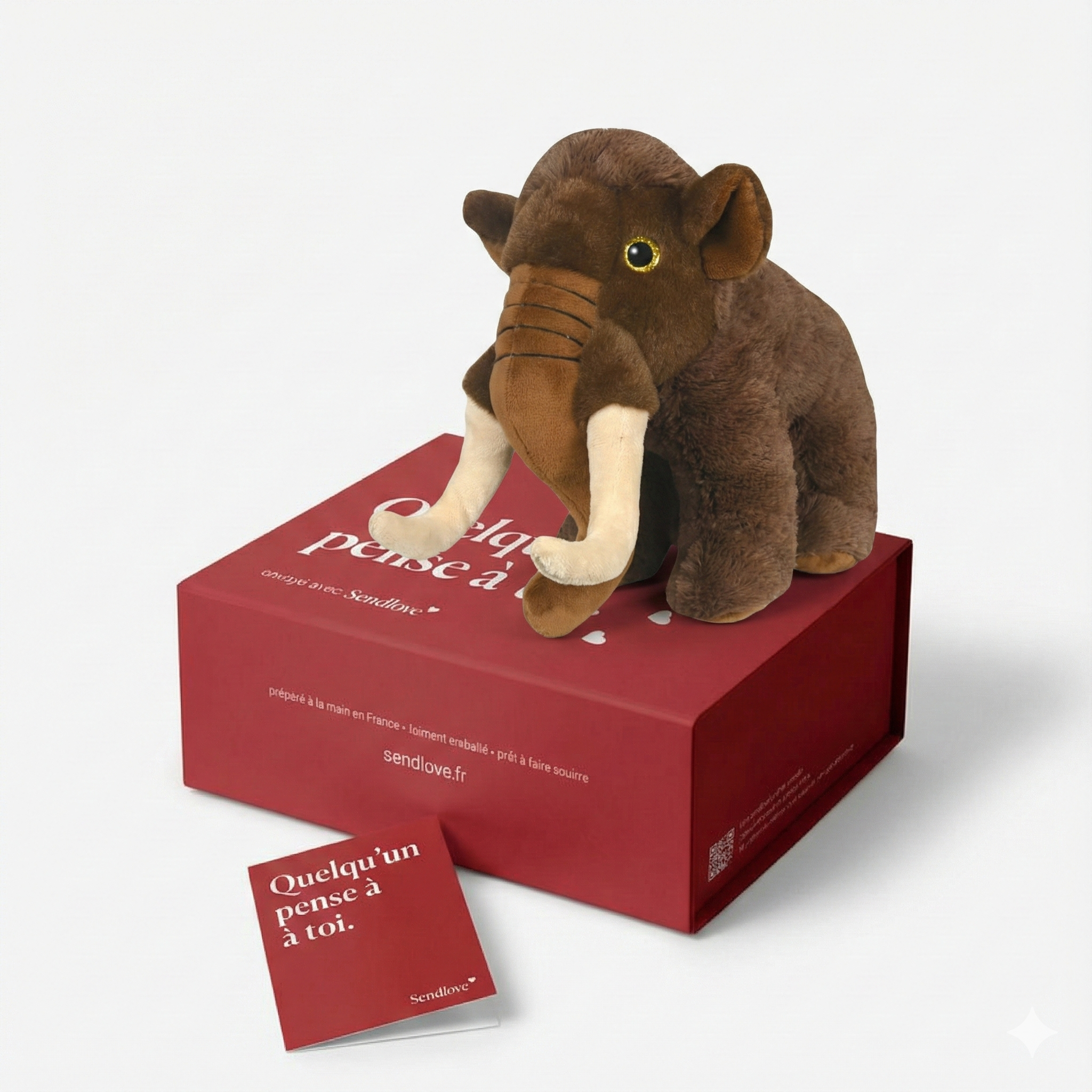 Manny le Mammouth 🦣