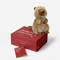 Casti le Castor 🦫