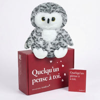 Néva le Harfang 🦉