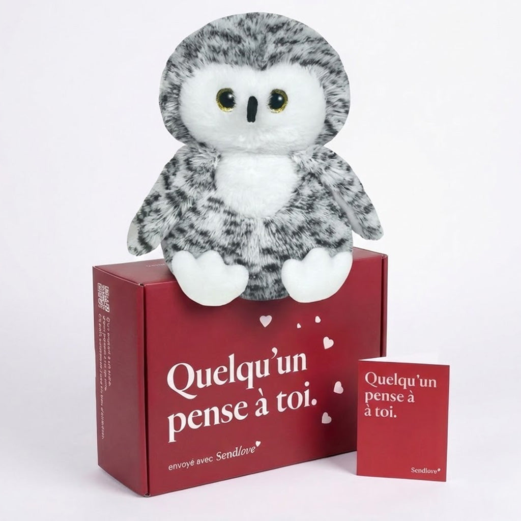 Néva le Harfang 🦉