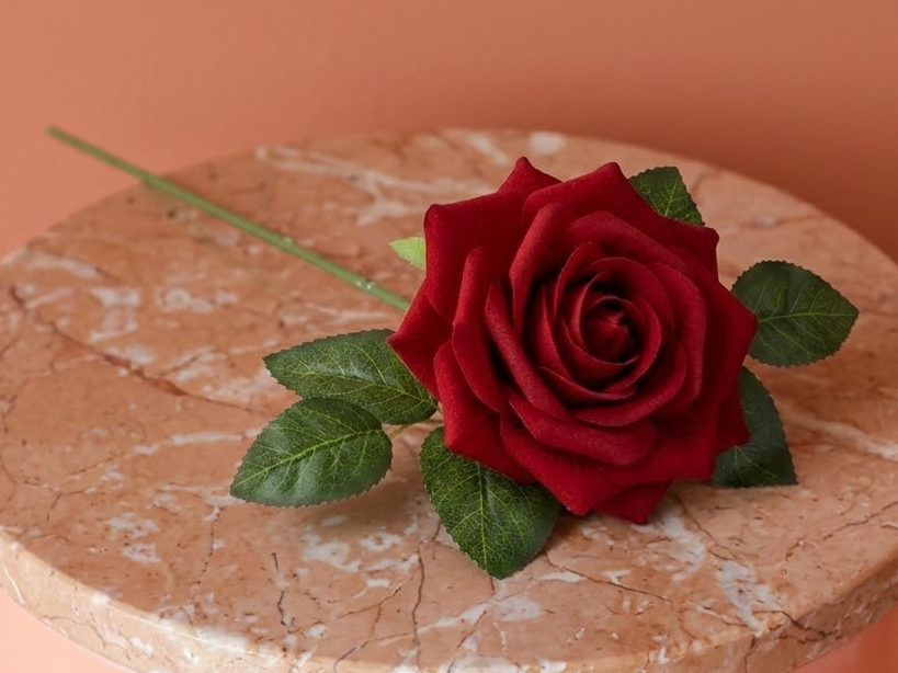 Rose Éternelle