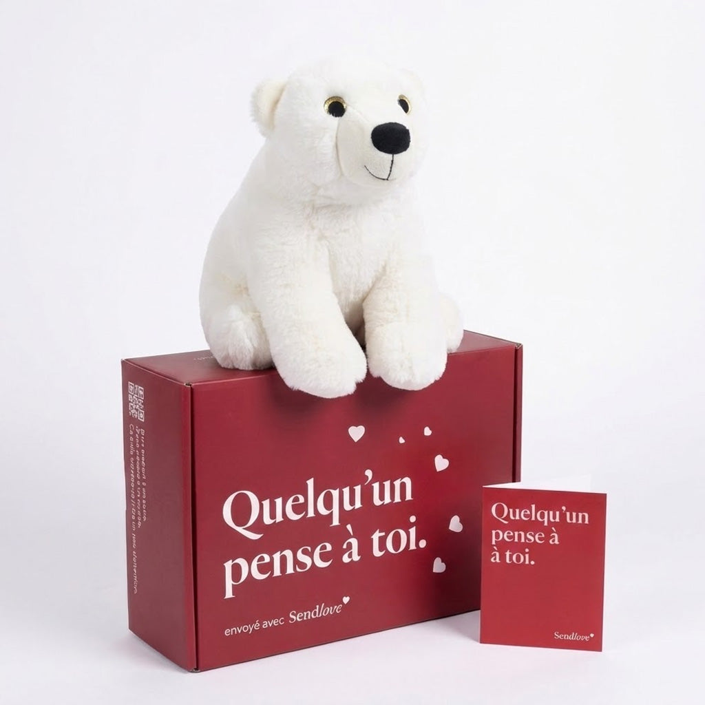 Nook l’Ours 🐻‍❄️