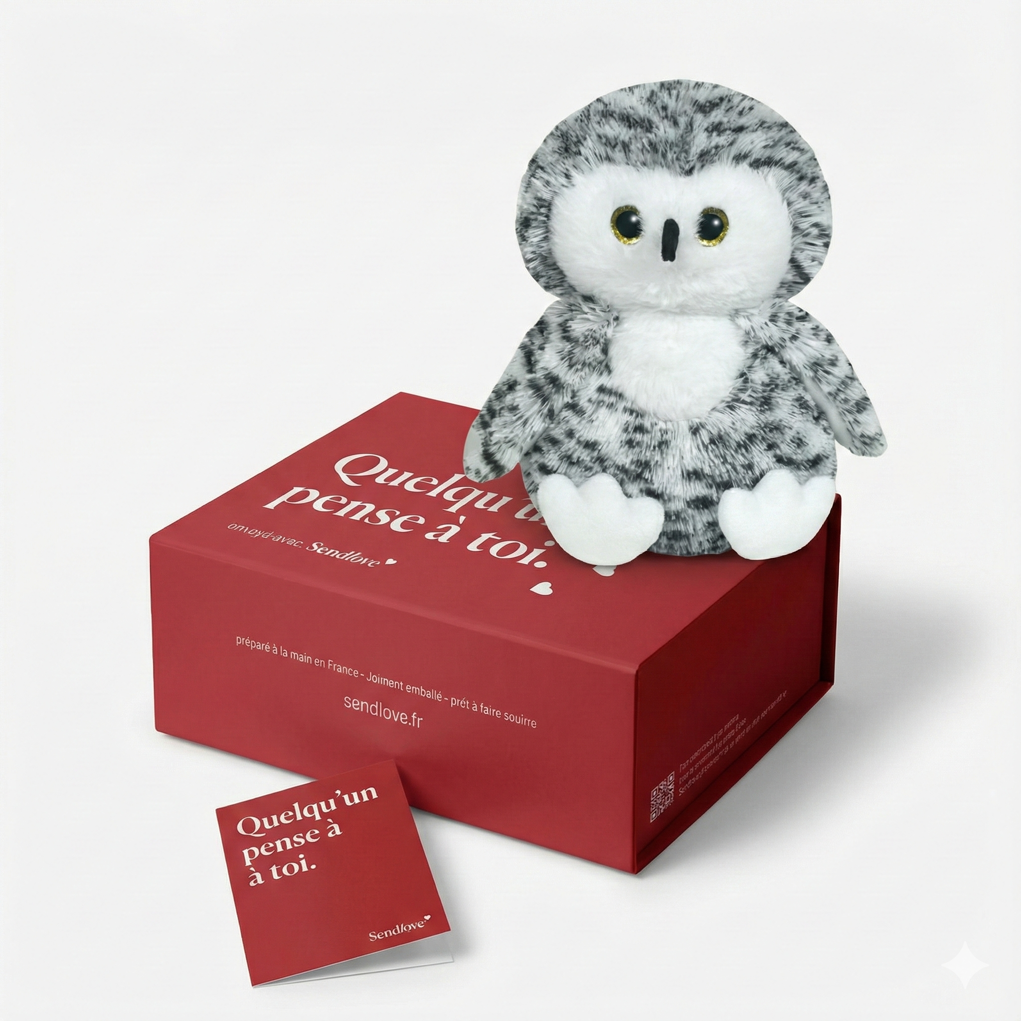 Néva le Harfang 🦉