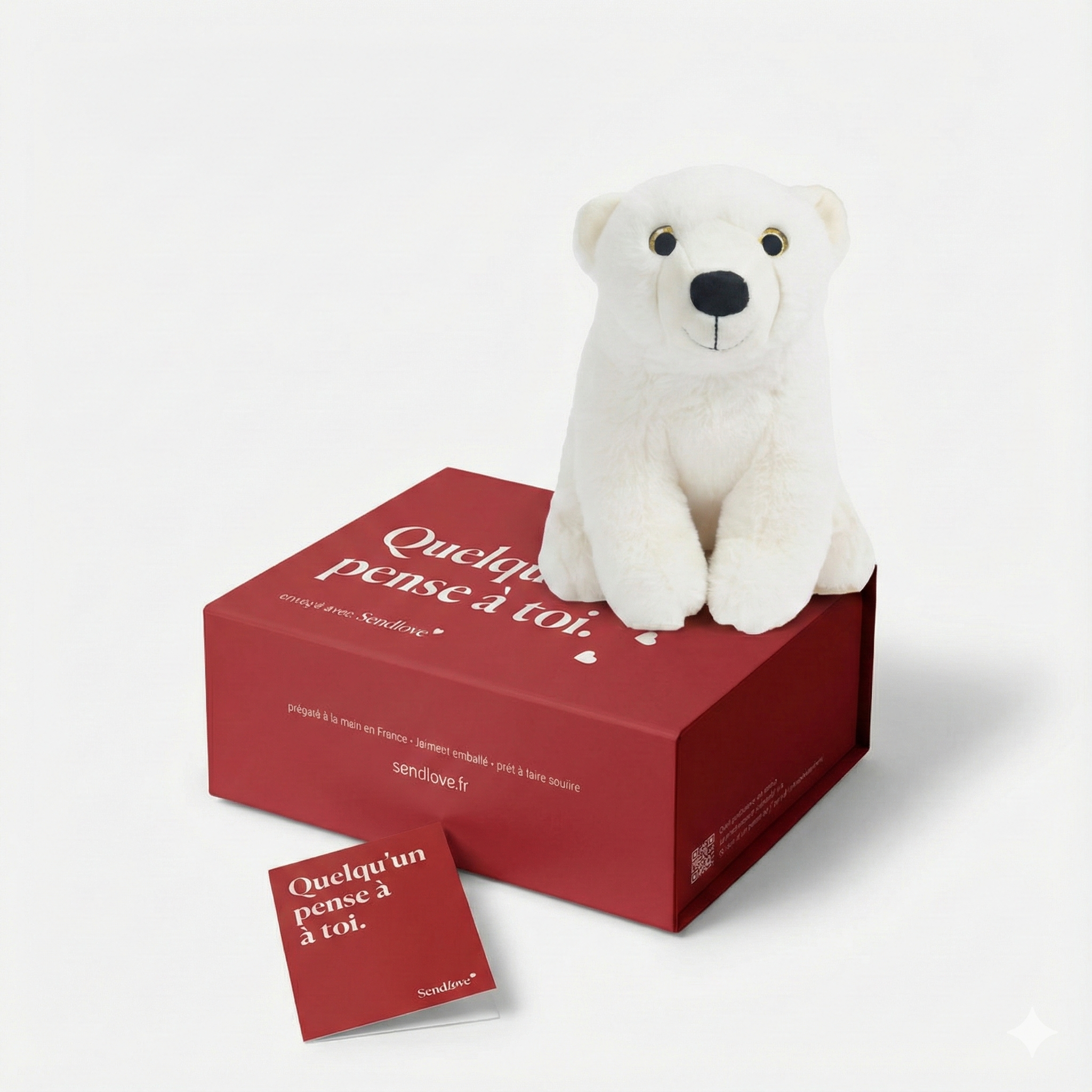 Nook l’Ours 🐻‍❄️