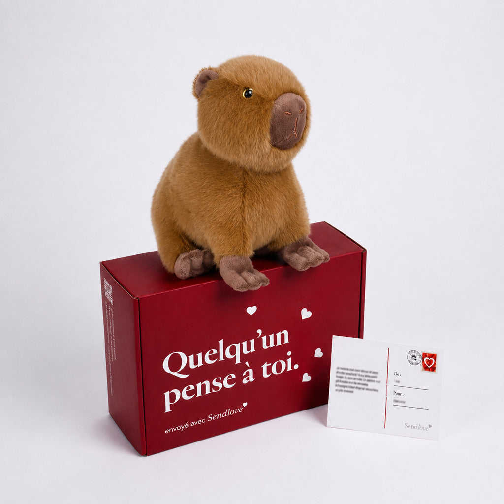 Pacha le Capybara 🦫