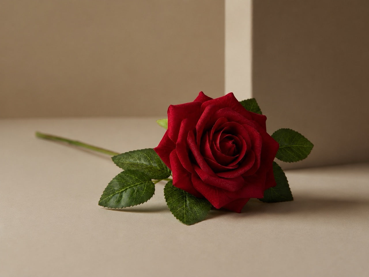 Rose Éternelle