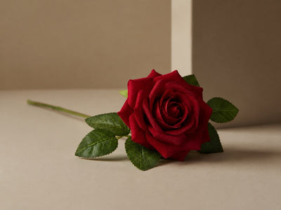 Rose Éternelle