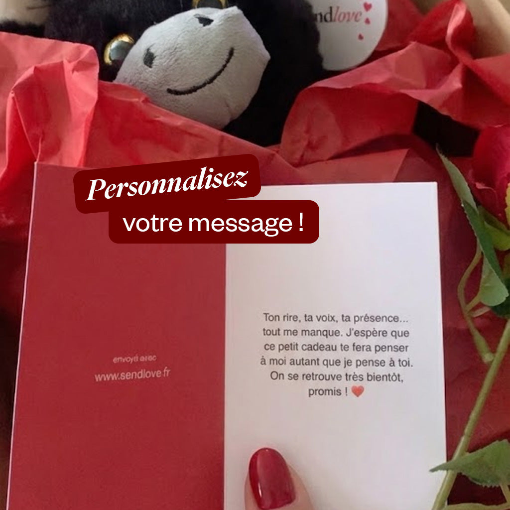 Torro le Taureau 🐂