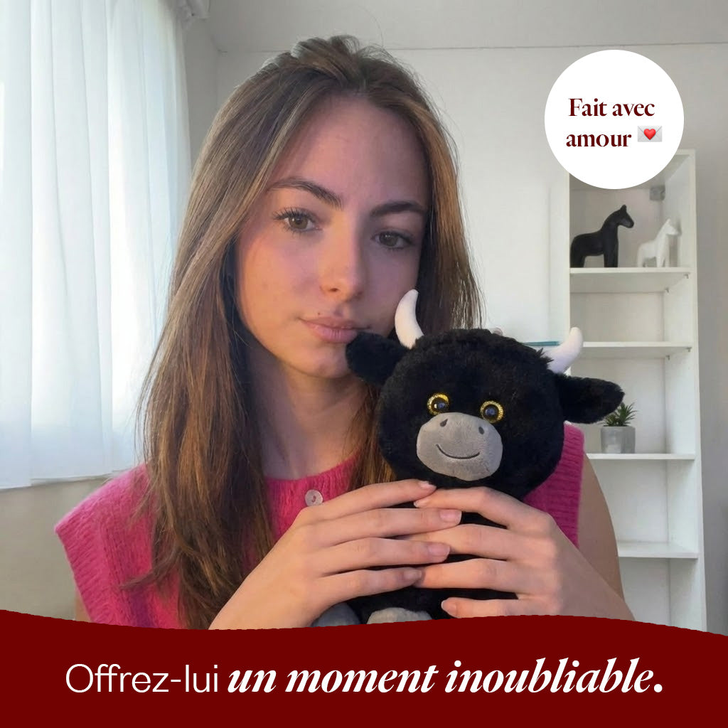 Torro le Taureau 🐂